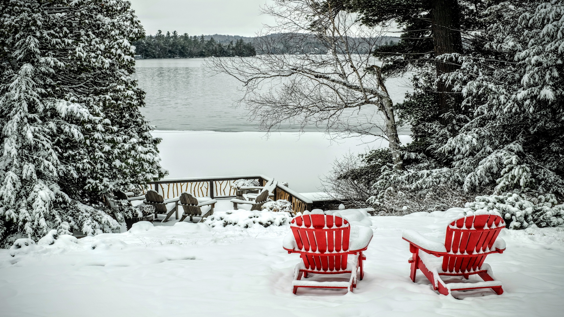 People on Backyard Winter